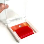 پالت مژه یونیکورن مینی قرمز جدید - Image 3