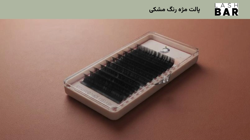 پالت مژه رنگ مشکی